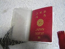 表 表