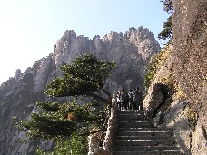 画像の説明 画像の説明