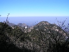 画像の説明 画像の説明