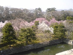 天守跡からの眺め