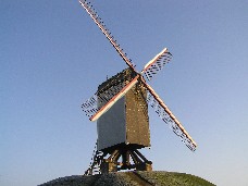 画像の説明 画像の説明