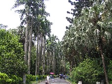 画像の説明 画像の説明
