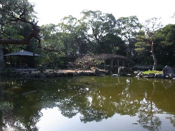 画像の説明 画像の説明