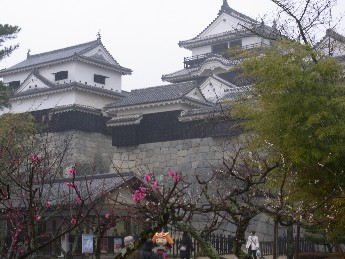 画像の説明 画像の説明