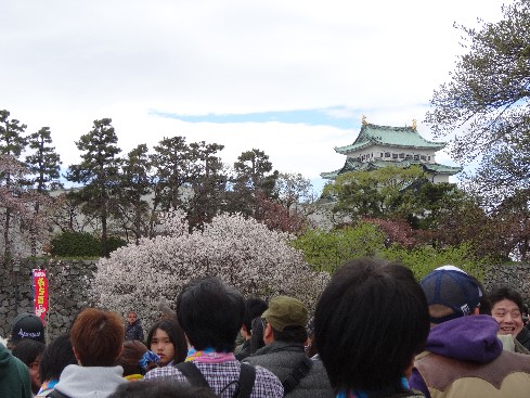 画像の説明 画像の説明